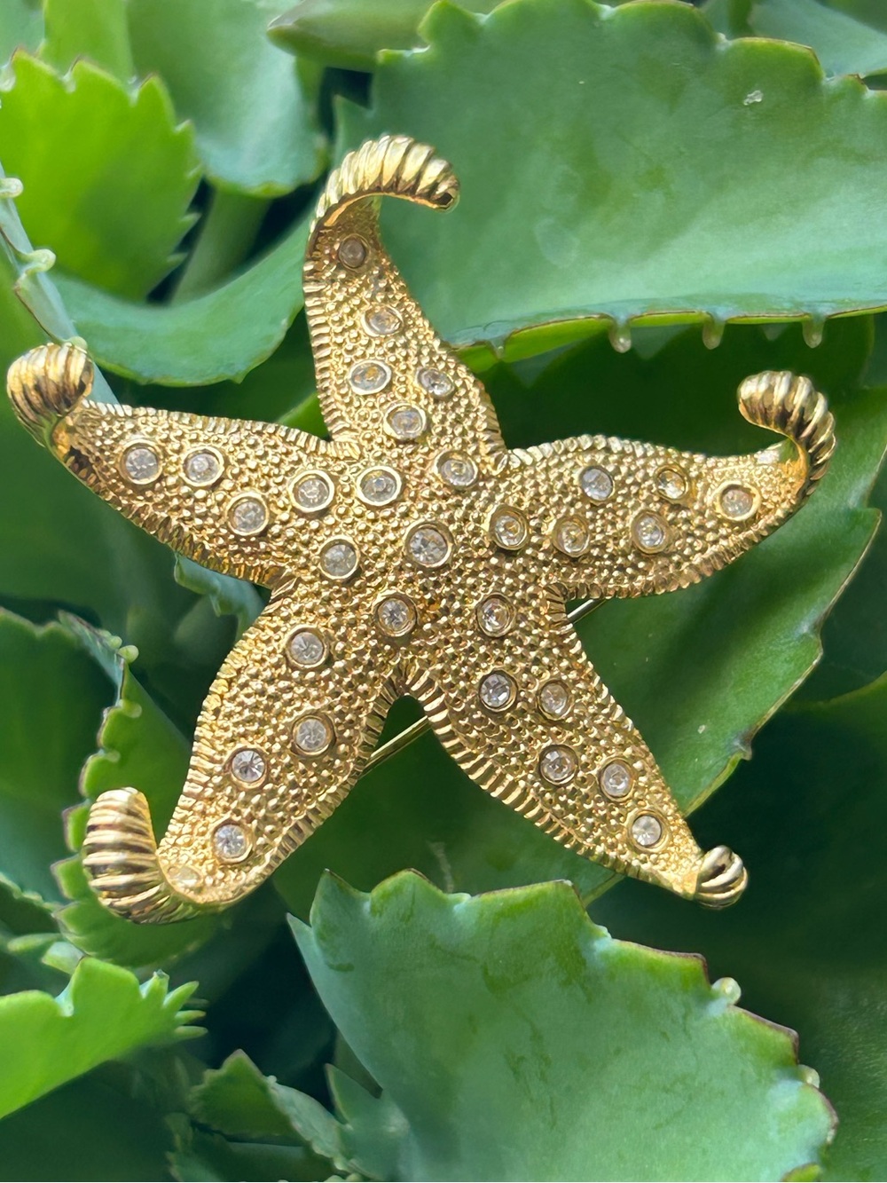 Vintage Carolee Gold Starfish crystal Rhinestone Nautical Beach Jewelry brooch p